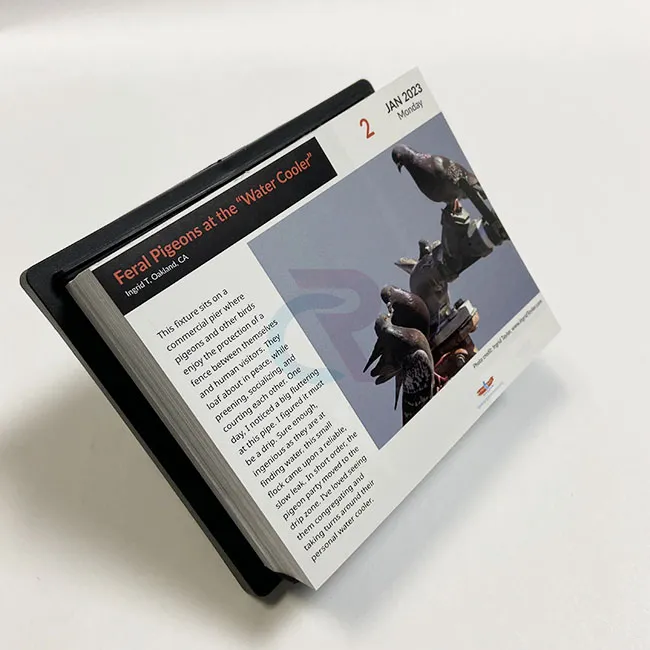 Како се прилагођени дизајни могу инкорпорирати у календаре који се одвајају од странице дневно?